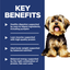 Hill's Science Diet Adult Dog Dry Food Small & Mini