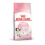Royal Canin Kitten food packaging on a white background
