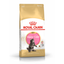 ROYAL CANIN Maine Coon Kitten Dry Cat Food