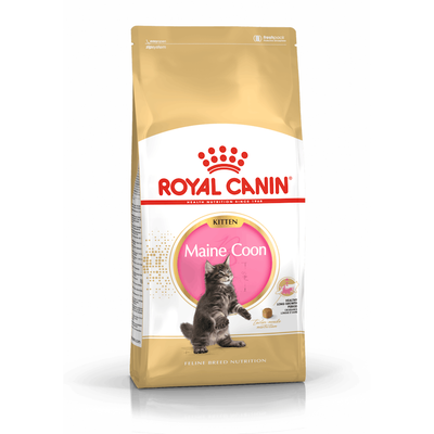 ROYAL CANIN Maine Coon Kitten Dry Cat Food