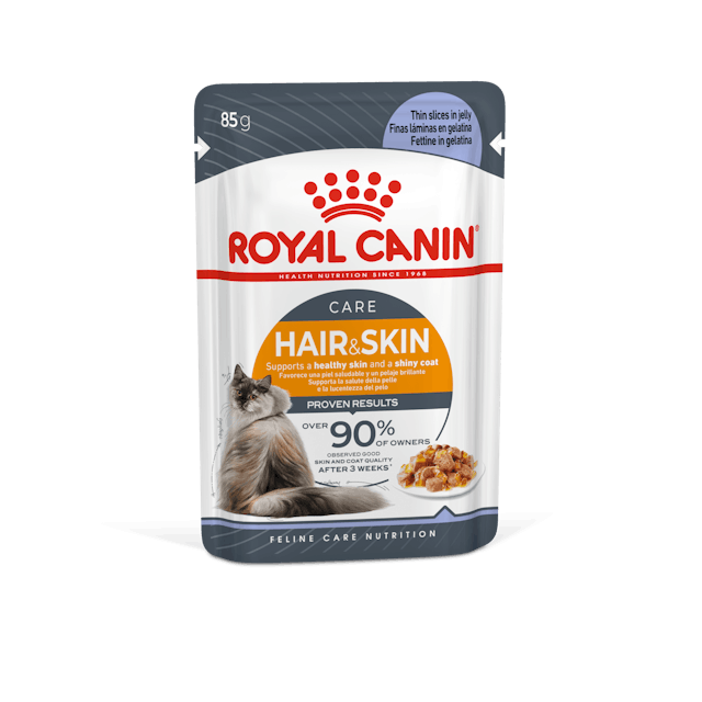 ROYAL CANIN Hair & Skin Care Jelly Adult Wet Cat Food 85g x 12