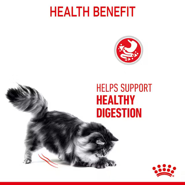 ROYAL CANIN Digestive Care Adult Dry Cat Food