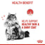 ROYAL CANIN Hair & Skin Care Cat Dry Food