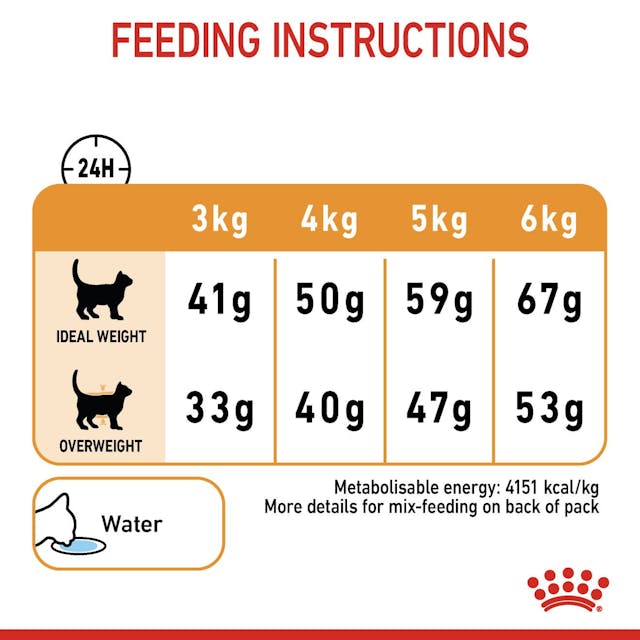 ROYAL CANIN Hair & Skin Care Cat Dry Food