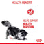 ROYAL CANIN Digestive Care Gravy Adult Wet Cat Food 85g x 12