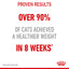 ROYAL CANIN Light Weight Care Jelly Wet Cat Food 85g x 12