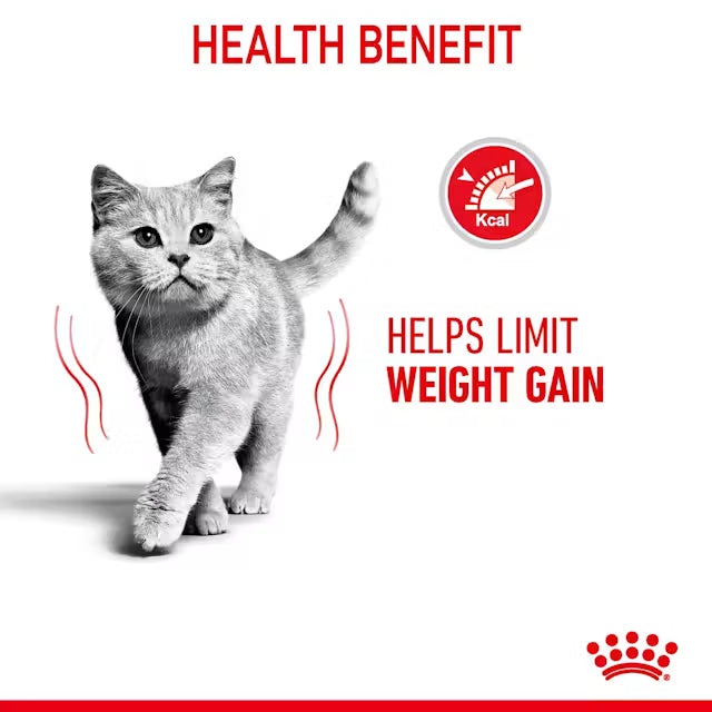 ROYAL CANIN Light Weight Care Jelly Wet Cat Food 85g x 12