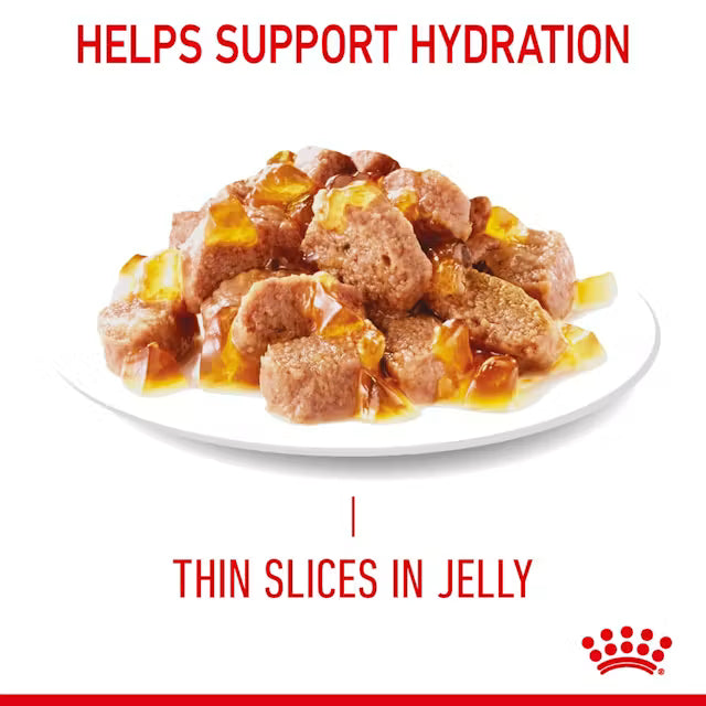 ROYAL CANIN Light Weight Care Jelly Wet Cat Food 85g x 12