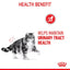 ROYAL CANIN Urinary Care Jelly Wet Cat Food 85g x 12