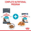 ROYAL CANIN Urinary Care Jelly Wet Cat Food 85g x 12