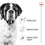 ROYAL CANIN Giant Adult Dog Dry Food 15kg