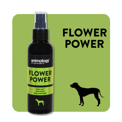 Animology Flower Power Dog Fragrance Mist 150ml