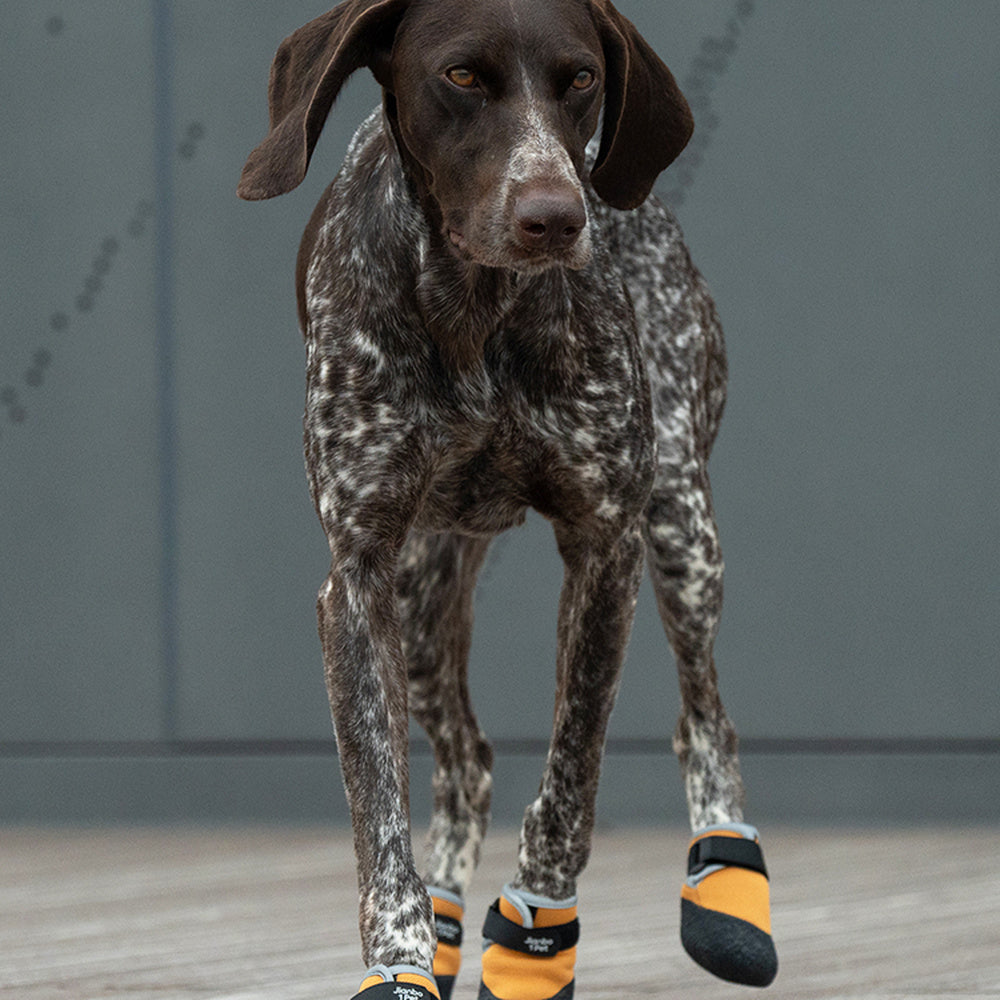 Jianbo 1 Pet Dog Hiking Shoes - 2 Shoes per Set