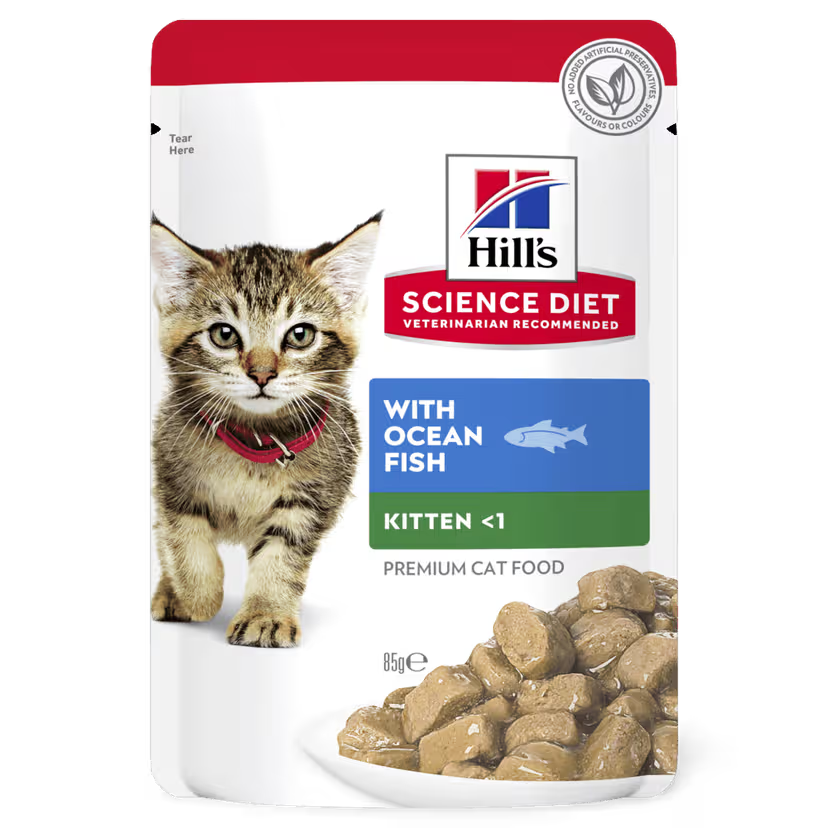 Hill's Science Diet Kitten Cat Wet Food Ocean Fish 85g X 12