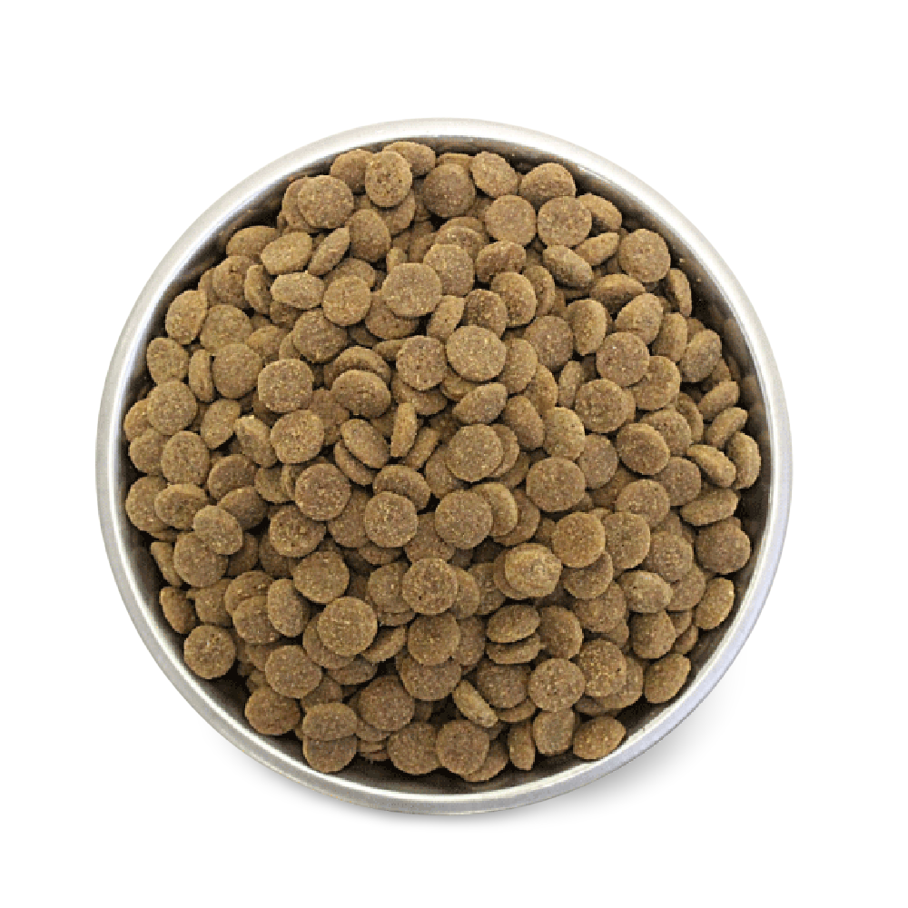 Hypro Premium Grain Free Adult Dog Dry Food Ocean Fish