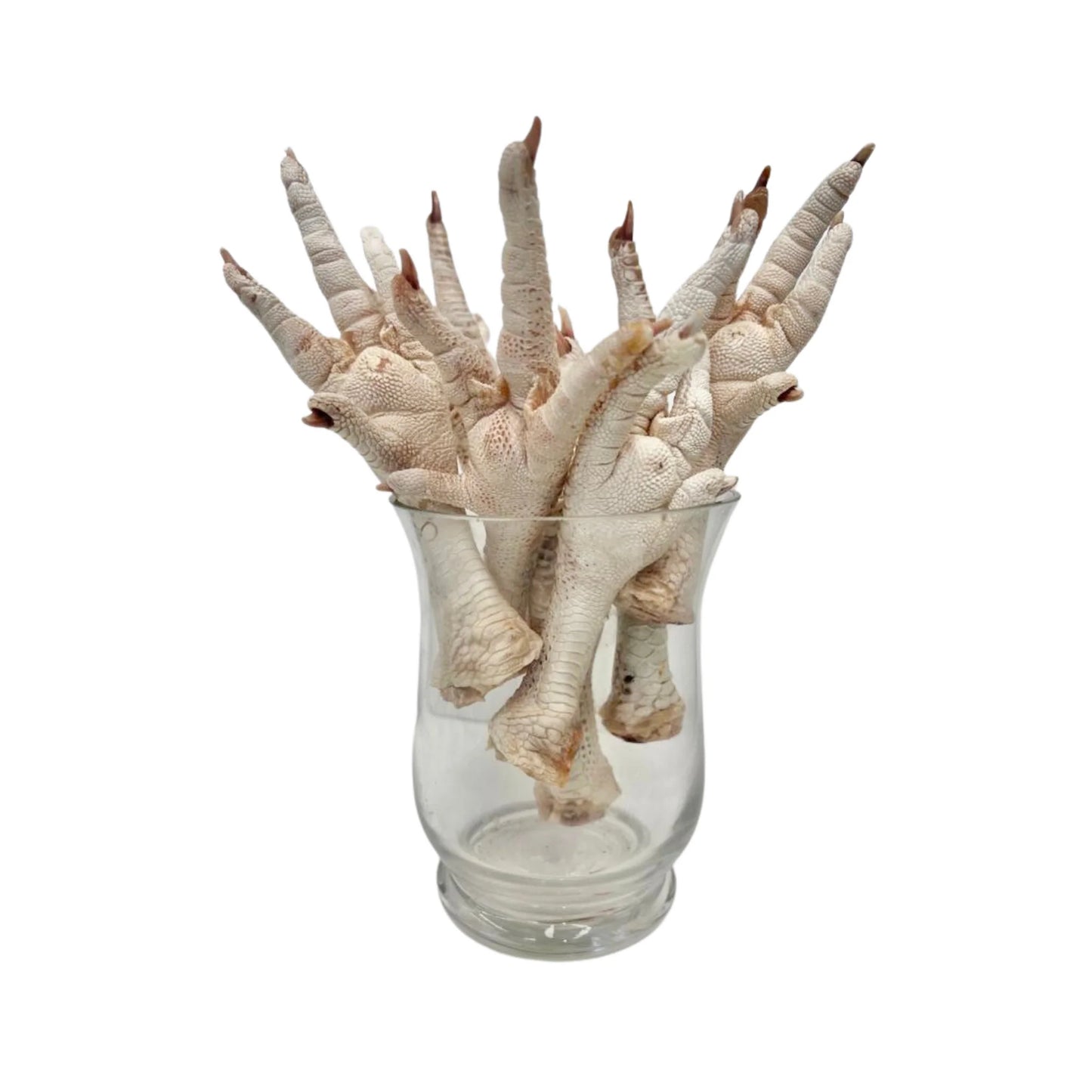 Freezy Paws - Freeze-Dried Chicken Feet Treats 5pcs