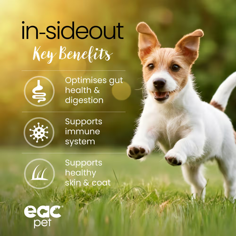 EAC Animal Care - In-sideout Pre & Probiotic Supplement for Dogs 125g