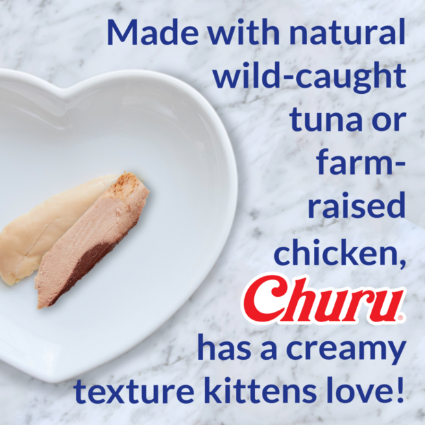 INABA Cat Churu Chicken Recipe Kitten Cat Treats 56G