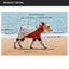 Jianbo 1 Pet Full-Body Dog Jacket