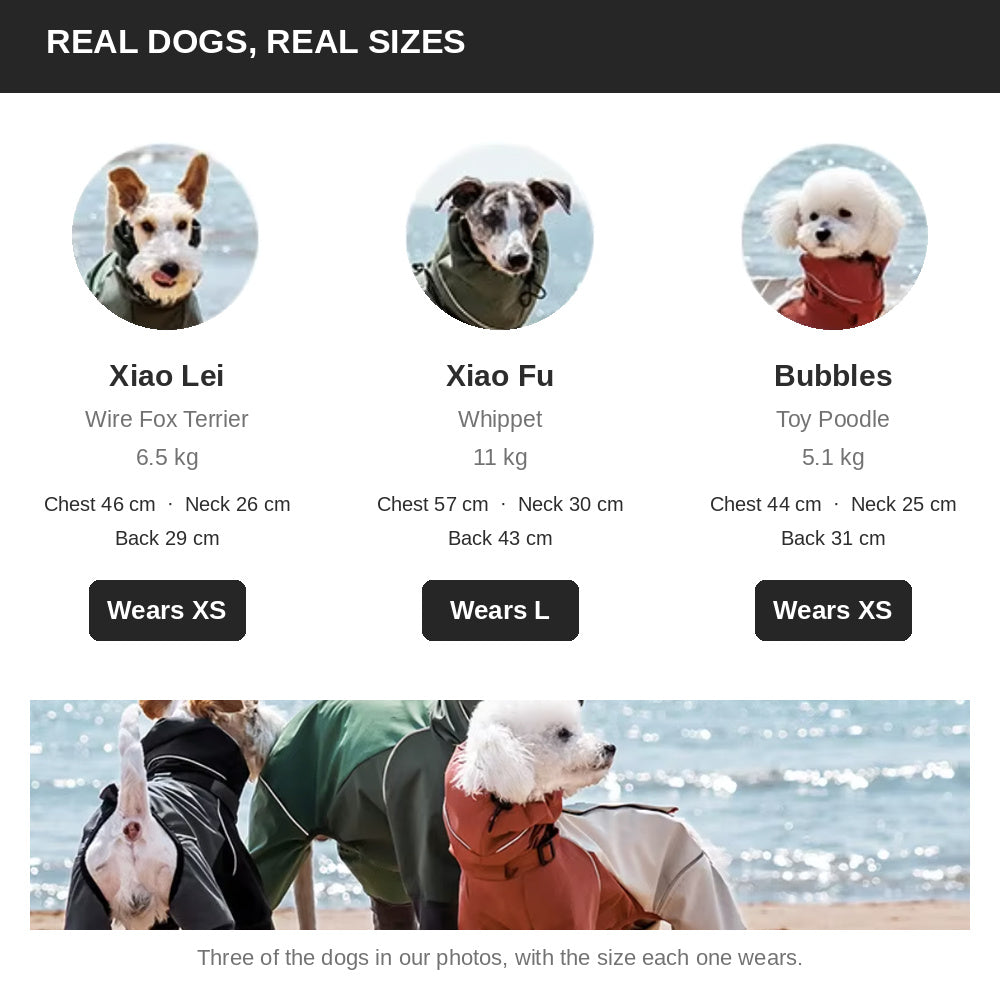 Jianbo 1 Pet Full-Body Dog Jacket