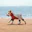 Jianbo 1 Pet Full-Body Dog Jacket