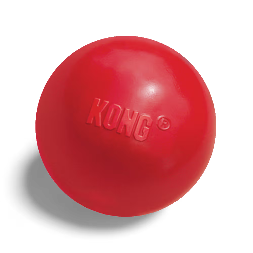 KONG Dog Toy Ball w/Hole