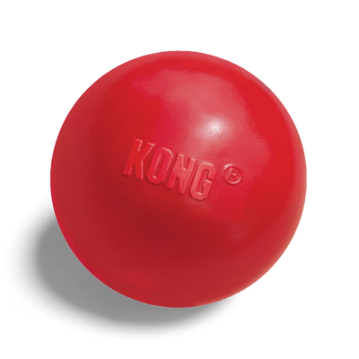 KONG Dog Toy Ball w/Hole