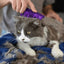 KONG Cat Zoom Groom