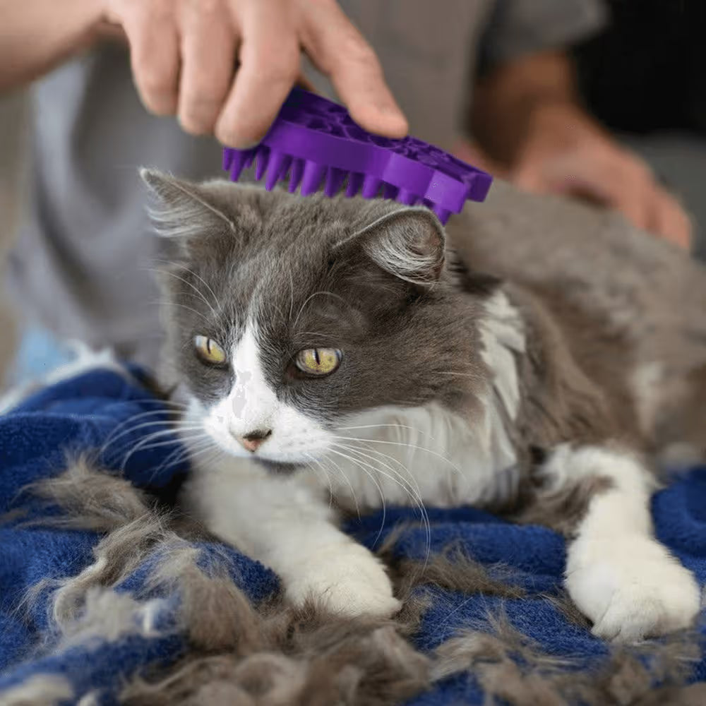 KONG Cat Zoom Groom