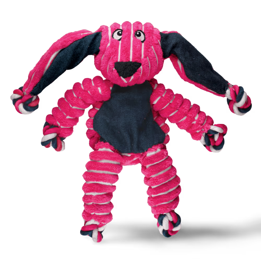 KONG Dog Toy Floppy Knots Bunny