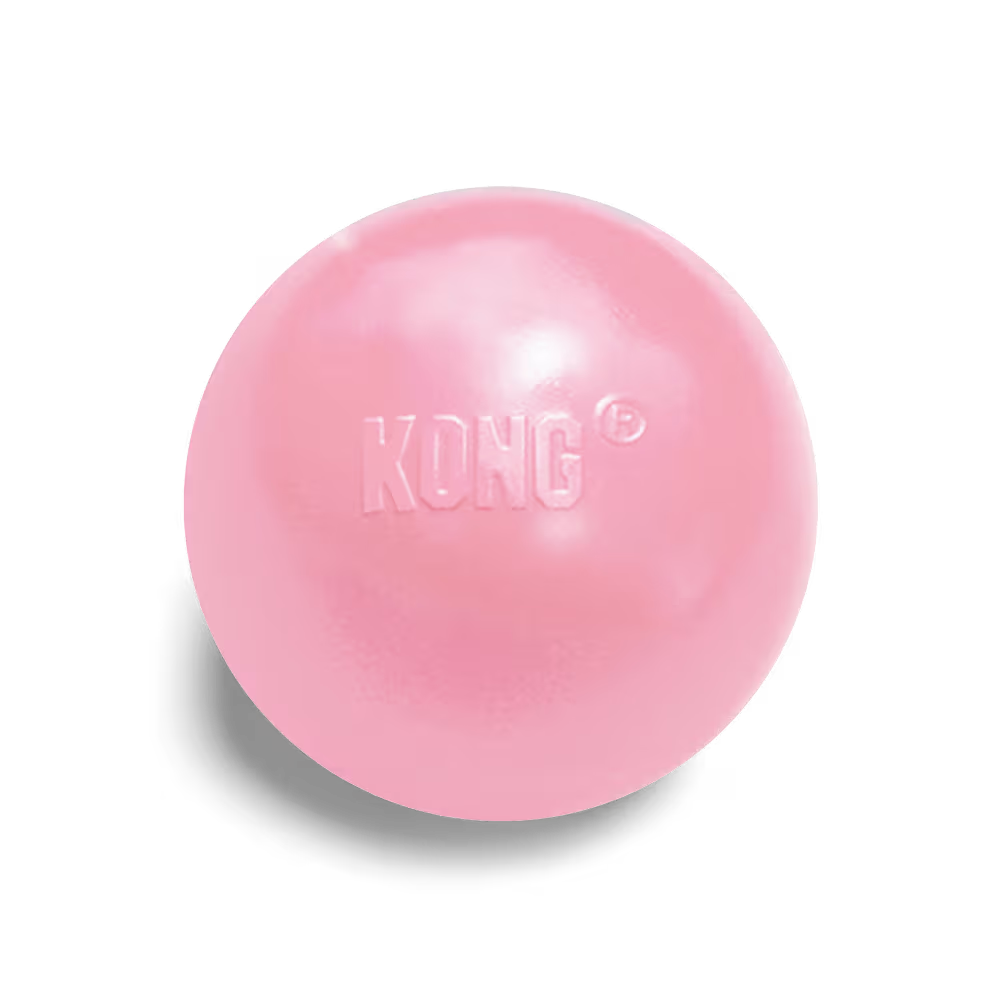 KONG Dog Toy Puppy Ball Assorted Color Small/Medium