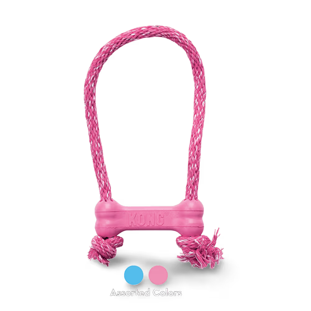 KONG Dog Toy Puppy Goodie Bone With Rope XSmall Assorted Color