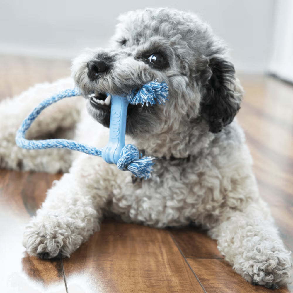KONG Dog Toy Puppy Goodie Bone With Rope XSmall Assorted Color