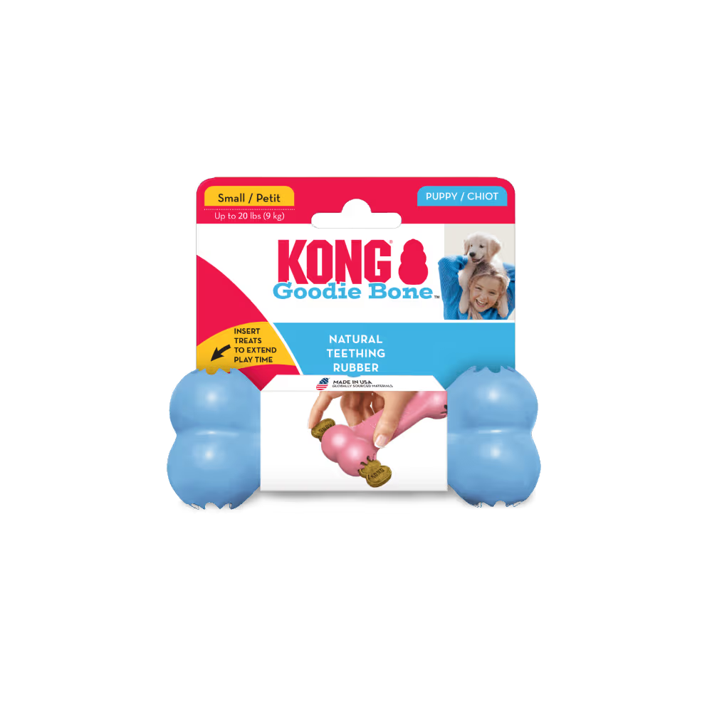KONG Dog Toy Puppy Goodie Bone Small Assorted Color