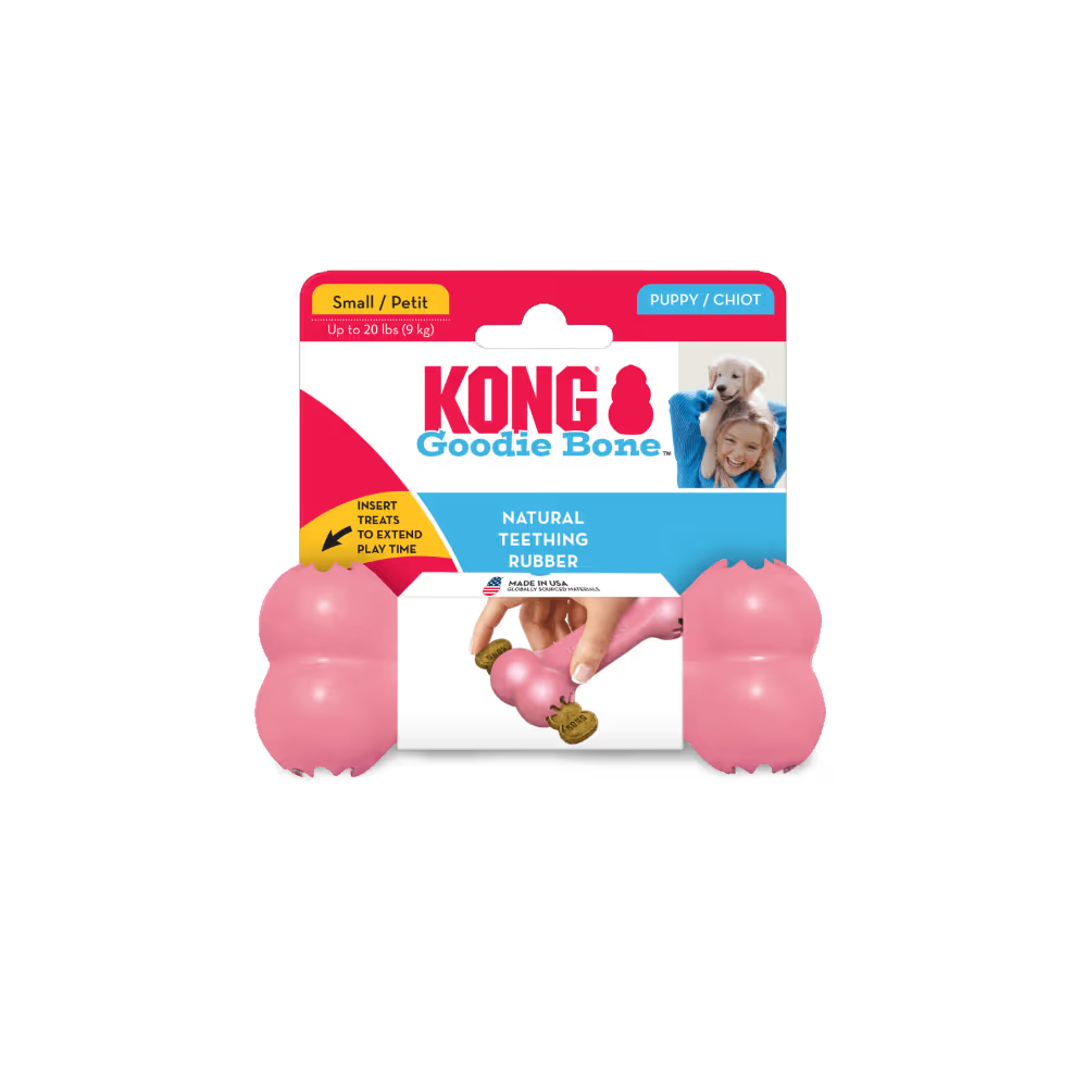 KONG Dog Toy Puppy Goodie Bone Small Assorted Color
