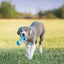 KONG Dog Toy Puppy Goodie Bone Small Assorted Color