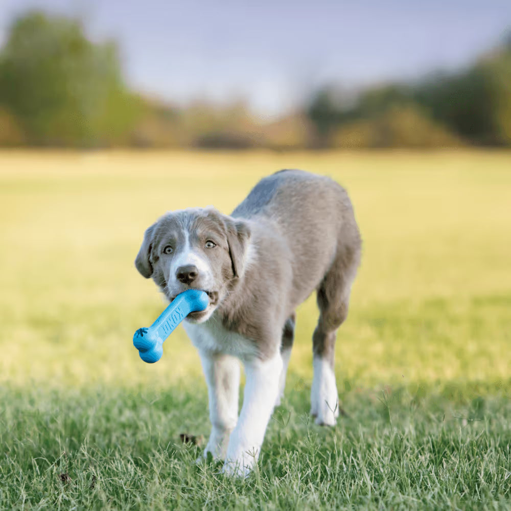 KONG Dog Toy Puppy Goodie Bone Small Assorted Color
