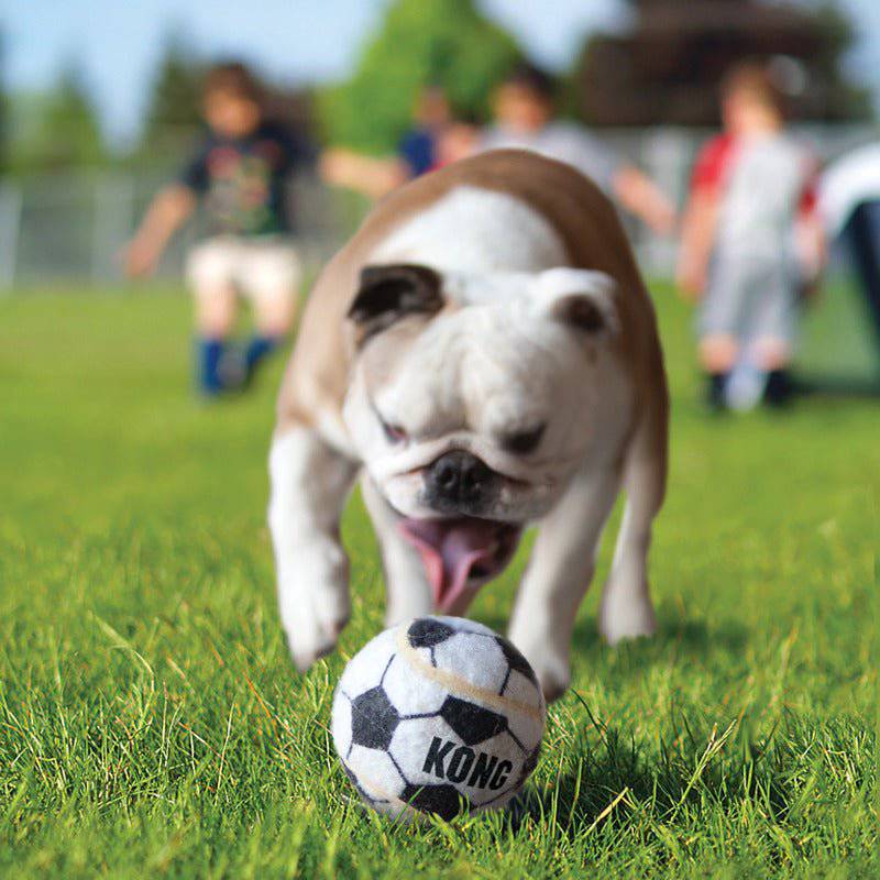 KONG Dog Toy Airdog Sport Balls Medium 3PK