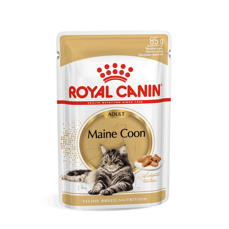 ROYAL CANIN Maine Coon Gravy Adult Wet Cat Food 85g x 12