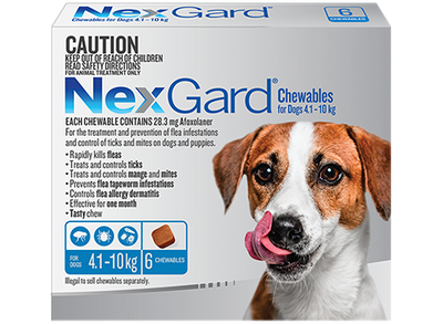 NexGard Flea & Tick Chewables For Small Dogs 4.1-10kg