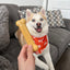 Nylabone Dog Chew Toy Power Chew Original Bone - Peanut Butter