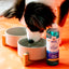 Nylabone Advanced Oral Care Water Additive for Dogs 480ml