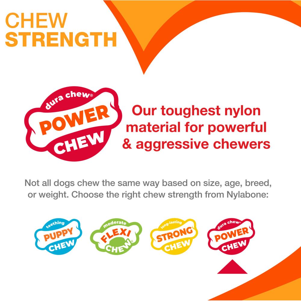 Nylabone Dog Chew Toy Power Chew Basted Blast Original & Textured Bone