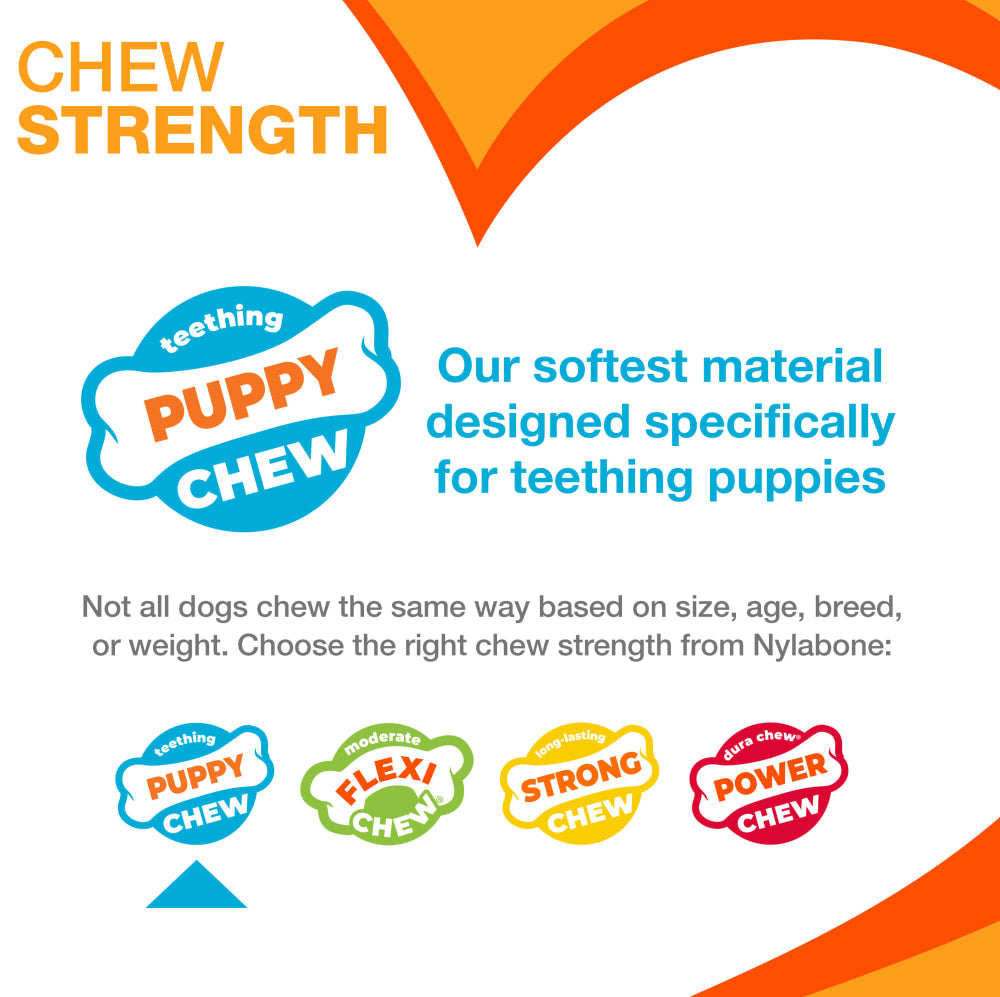 Nylabone Puppy Chew Triple Stages Chew Toy Pack