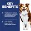 Hill's Science Diet Adult Dog Food 7+ Senior Dry Food