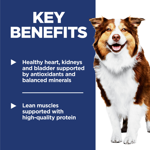 Hill's Science Diet Adult Dog Food 7+ Senior Dry Food