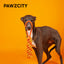 PAWZCITY Interactive Rope Stick With Loop - Seabreeze