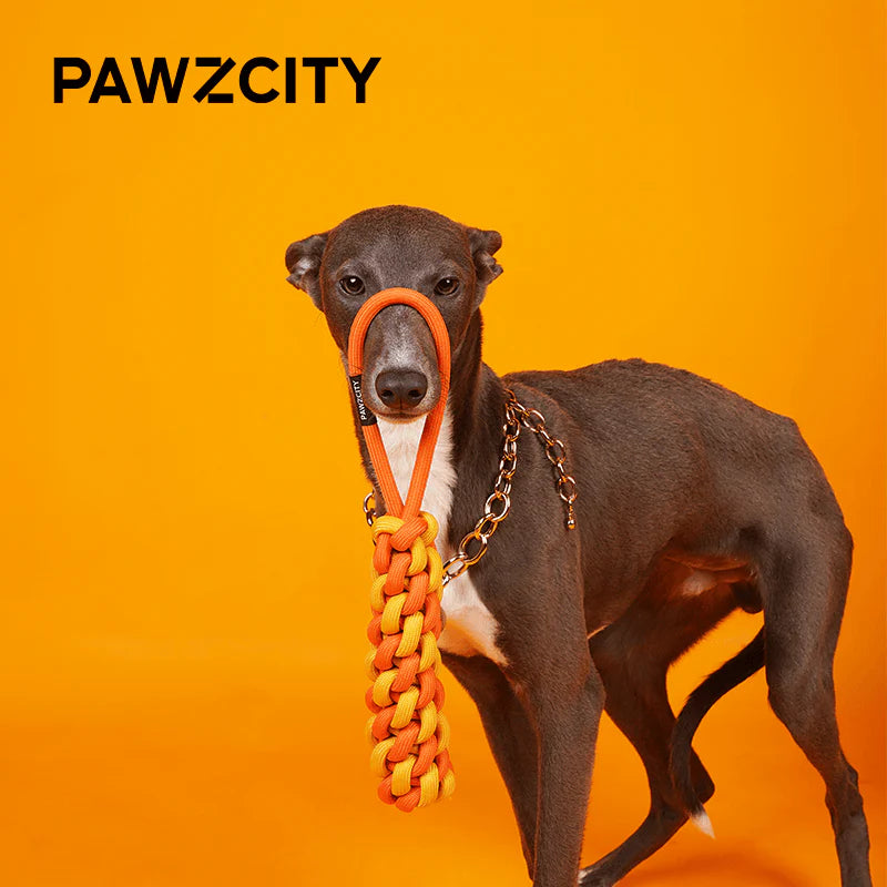 PAWZCITY Interactive Rope Stick With Loop - Seabreeze