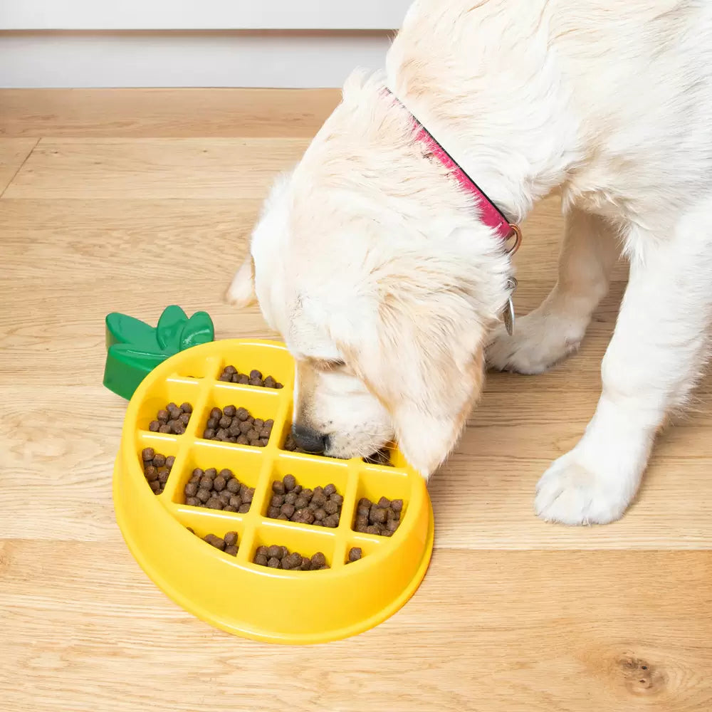 Zippypaws Slow Feeder Happy Bowl – Pineapple