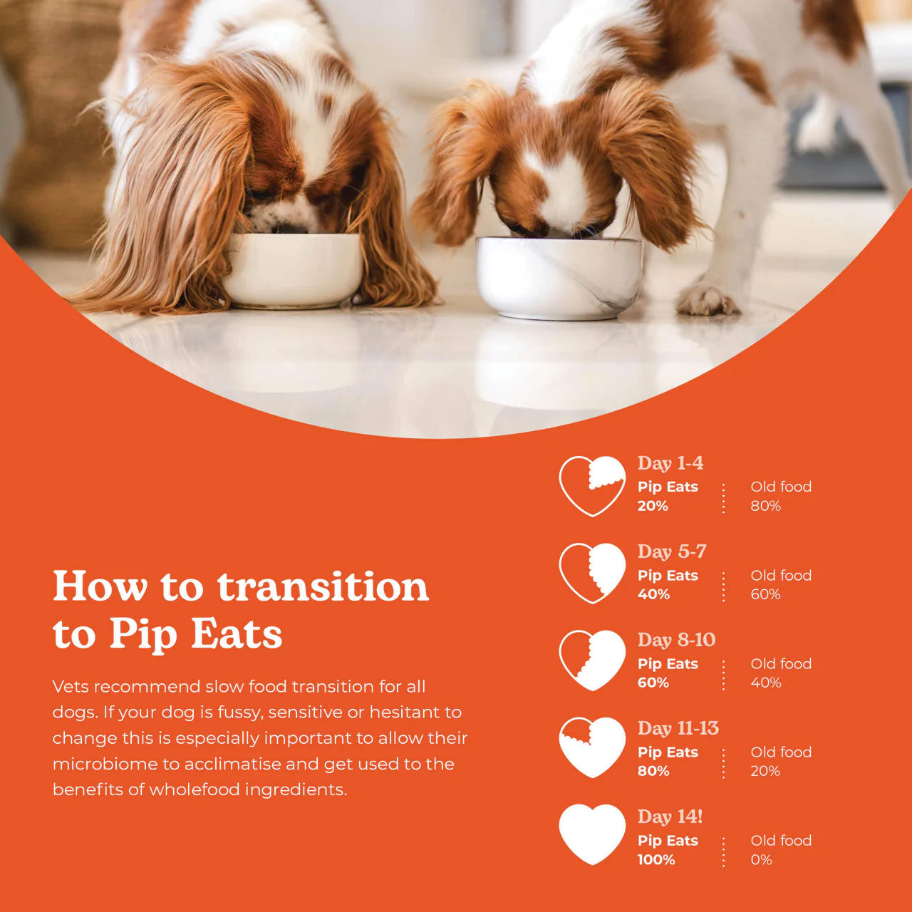Pip Eats Frozen Raw Dog Food Excellent Emu 90g x 12
